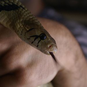 DSC08286 (Large).JPG