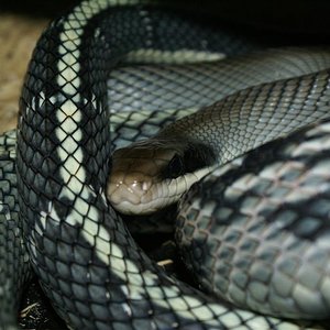 DSC08229 (Large).JPG