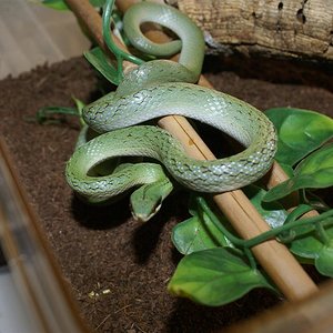 DSC08241 (Large).JPG