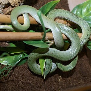 DSC08242 (Large).JPG