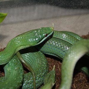 DSC08251 (Large).JPG