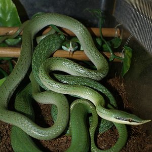 DSC08256 (Large).JPG