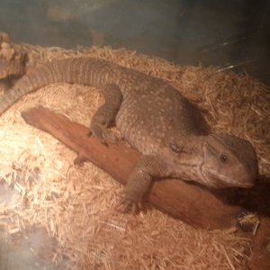 FOTO DE LA MERY 031.JPG