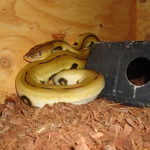 DSC04746 (Medium).JPG