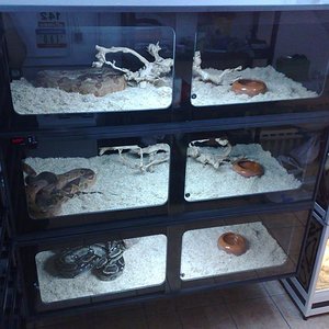 instalaciones 241.jpg