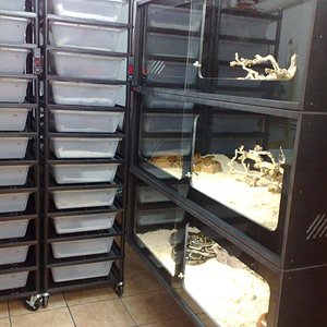 instalaciones 236.jpg