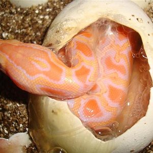 DSC04879 (Medium) (Small).JPG