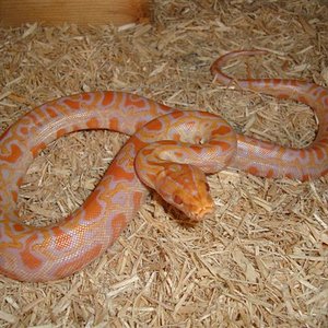 DSC04890 (Small).JPG