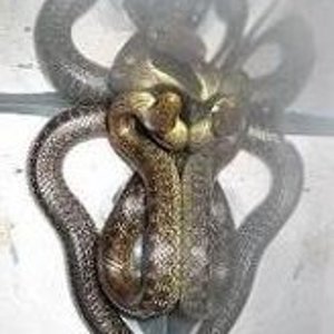 Copia de IMG_0813.JPG