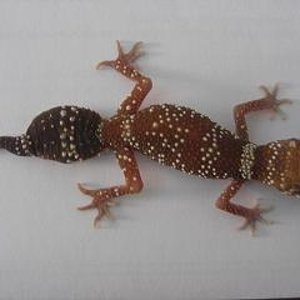 milii recien llegado 2.JPG