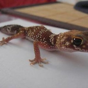 milii recien llegado 3.JPG