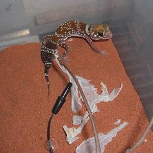 Milii despues de mudar.JPG