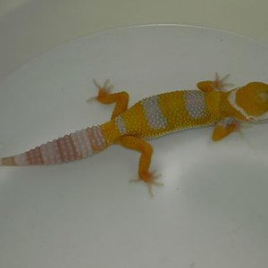 PICT5371 [640x480].JPG