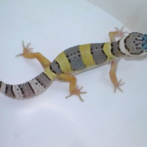 PICT5399 [640x480].JPG