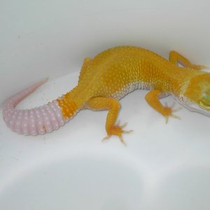 PICT5392 [640x480].JPG