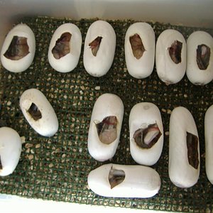 DSCF4998 (Medium).JPG