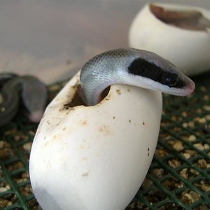 DSCF4995 (Medium).JPG