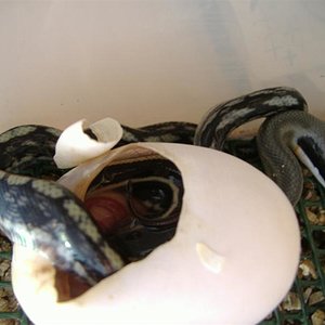 DSCF4996 (Medium).JPG