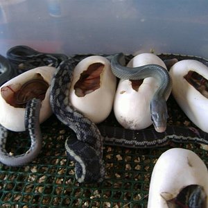 DSCF5008 (Medium).JPG