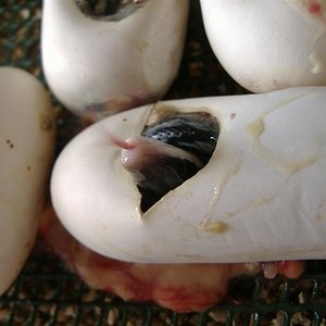 DSCF5018 (Medium).JPG