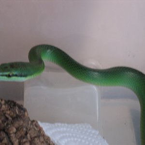 gony julio 004 [800x600].JPG