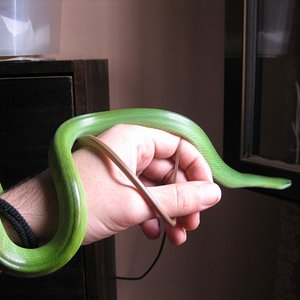 gony julio 005 [800x600].JPG