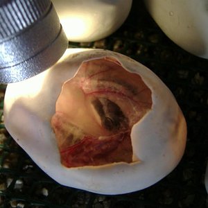 DSCF5000 (Medium).JPG