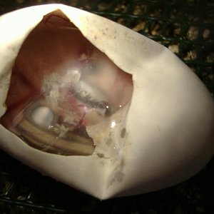 DSCF5002 (Medium).JPG