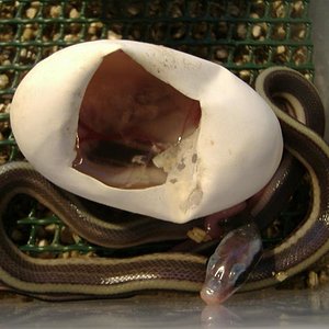 DSCF5028 (Medium).JPG