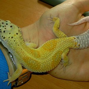 PICT4898 [640x480].JPG