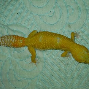 PICT5320 [640x480].JPG