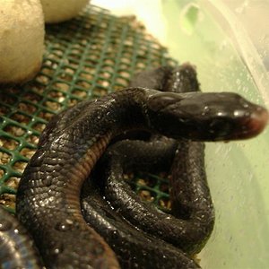 DSCF5040 (Medium).JPG