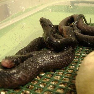 DSCF5043 (Medium).JPG