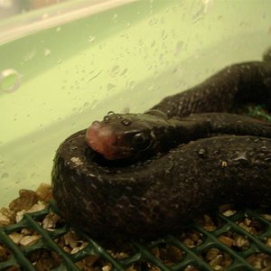 DSCF5041 (Medium).JPG