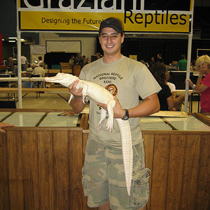 albino gator.jpg