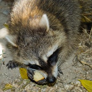 DSC_0032 (Medium).jpg