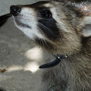 DSC_0034 (Medium).jpg