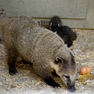 DSC_0036 (Medium).jpg