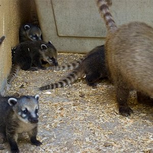 DSC_0039 (Medium).jpg