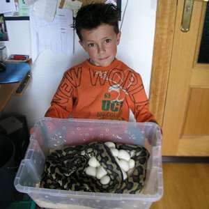 P1010013 [Resolución de Escritorio].JPG