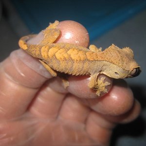 resized_temporada 2009 027.jpg