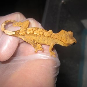 resized_temporada 2009 198.jpg