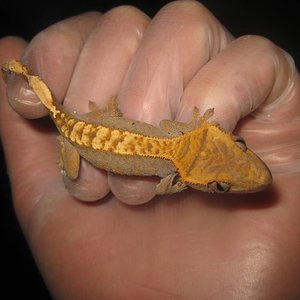 resized_temporada 2009 203.jpg