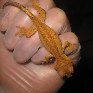 resized_temporada 2009 224.jpg