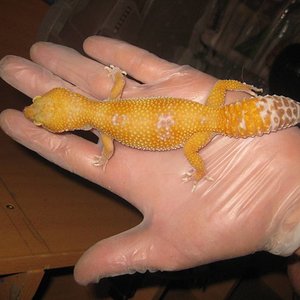 resized_temporada 2009 269.jpg