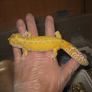 resized_temporada 2009 262.jpg