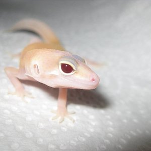 resized_temporada 2009 081.jpg