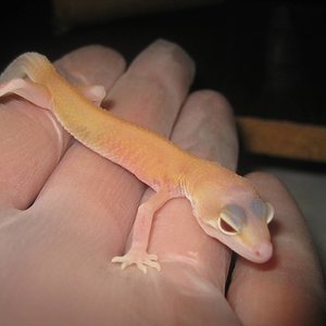 resized_temporada 2009 086.jpg