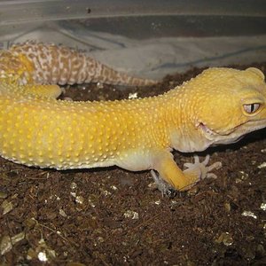 resized_resized_temporada 2009 247.jpg