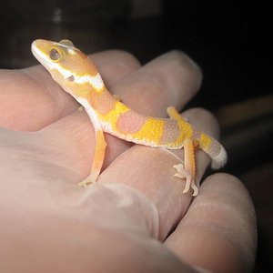 resized_temporada 2009 092.jpg